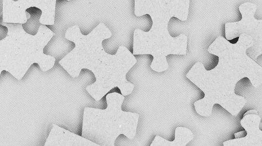 wordpress-avant-d-installer-votre-prochain-plugin